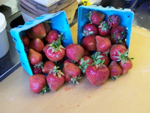 Strawberries in quart basket