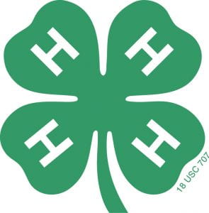 4-H Symbol - Four-leaf clover with H in each leaf