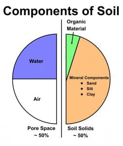 Pie chart showing the diffent componets of soil(25% water, 25% air, ~50% inorganic componets, a little organic material)