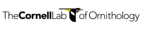 The Cornell Lab of Ornithology Logo