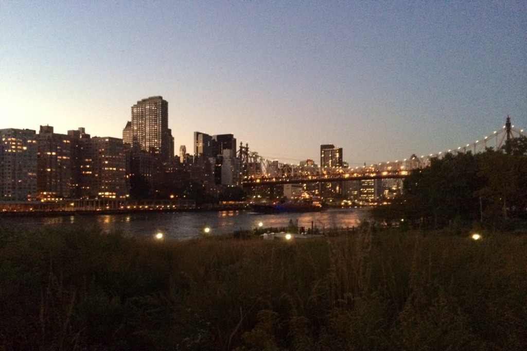 Roosevelt Island Clearing
