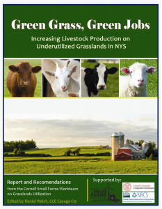green grass, green jobs crop