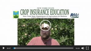 Thumbnail for New York apple crop insurance testimonial video with John Barber Jr.