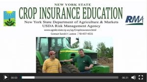 Thumbnail for New York dairy crop insurance testimonial video with Tony and Nick Gilbert.