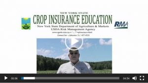 Thumbnail for New York field crops and vegetables crop insurance testimonial video with Larry Eckhardt.