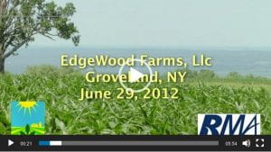 Thumbnail for New York field crops producer crop insurance testimonial video with Craig Phelps.