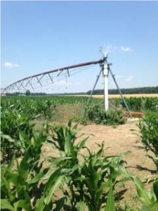 Irrigation rig near Salisbury, MD