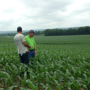My DSM (green shirt) out with a grower looking at a test plot comparing varieties of seed side-by-side.