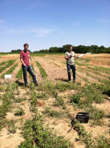Matt Ryan explains his research with cover crops