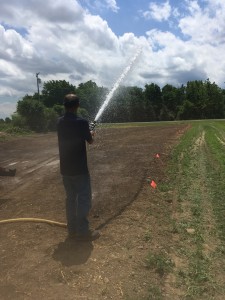 Watering the test plot
