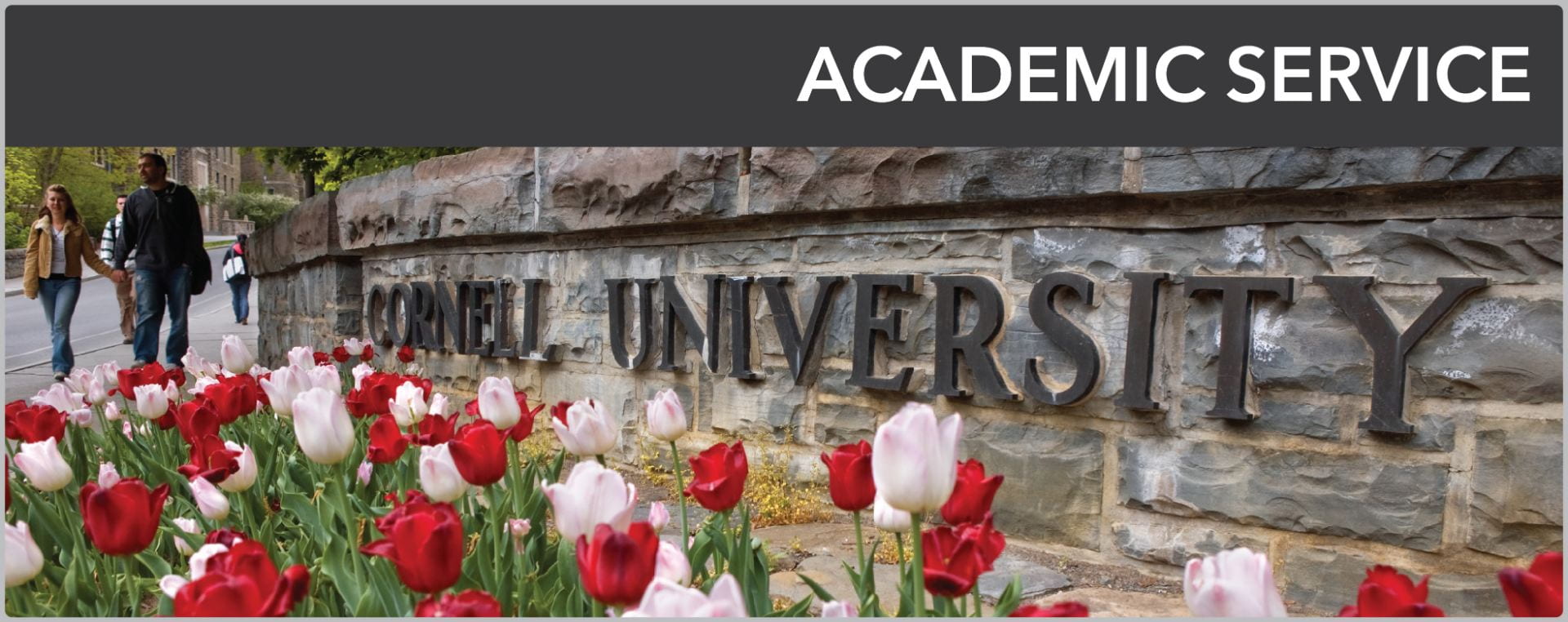 Academic service banner with link to page