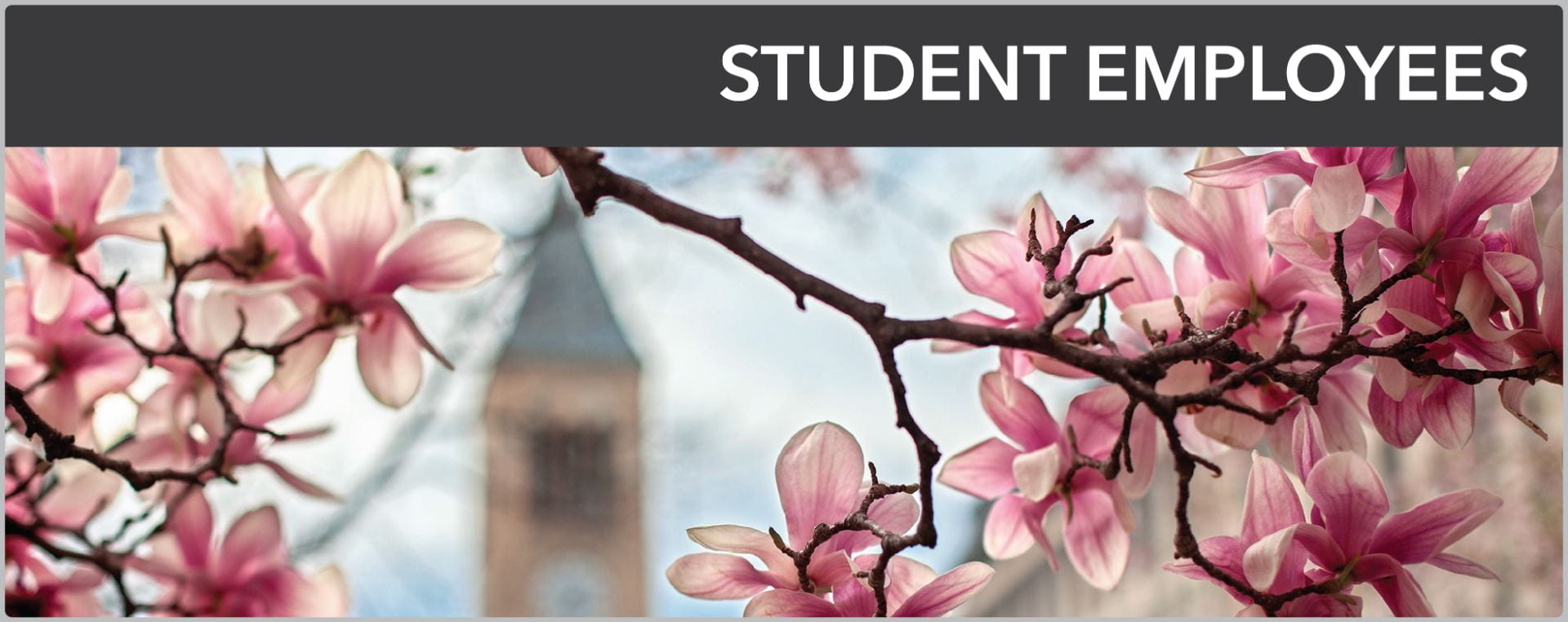Student employee banner with link to page