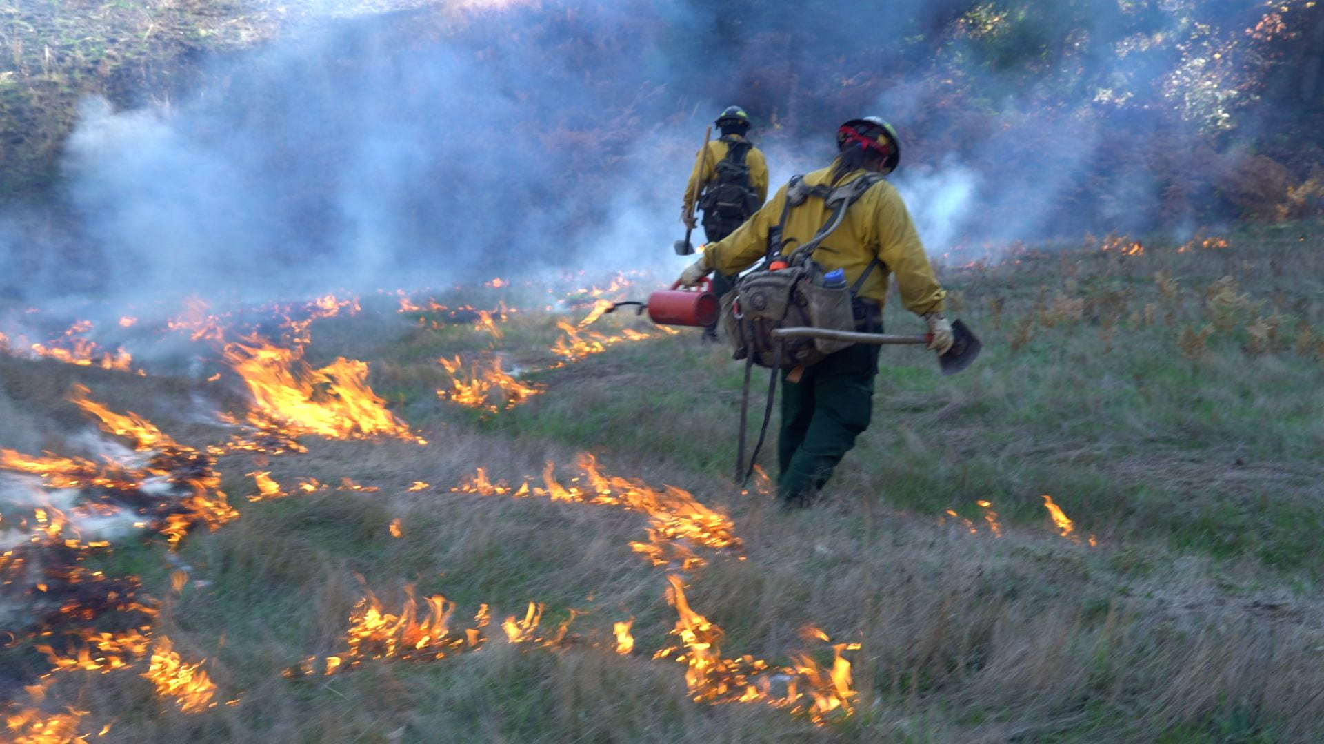 Two men walk through a field while spreading fire in a prescribed burn.