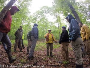 CCE Cornell Arnot Forest community education