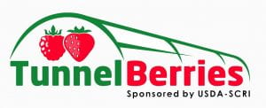 tunnel berries logo
