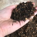 A pile of compost held in a hand. The compost is dark brown and little pieces of eggshell are visible.