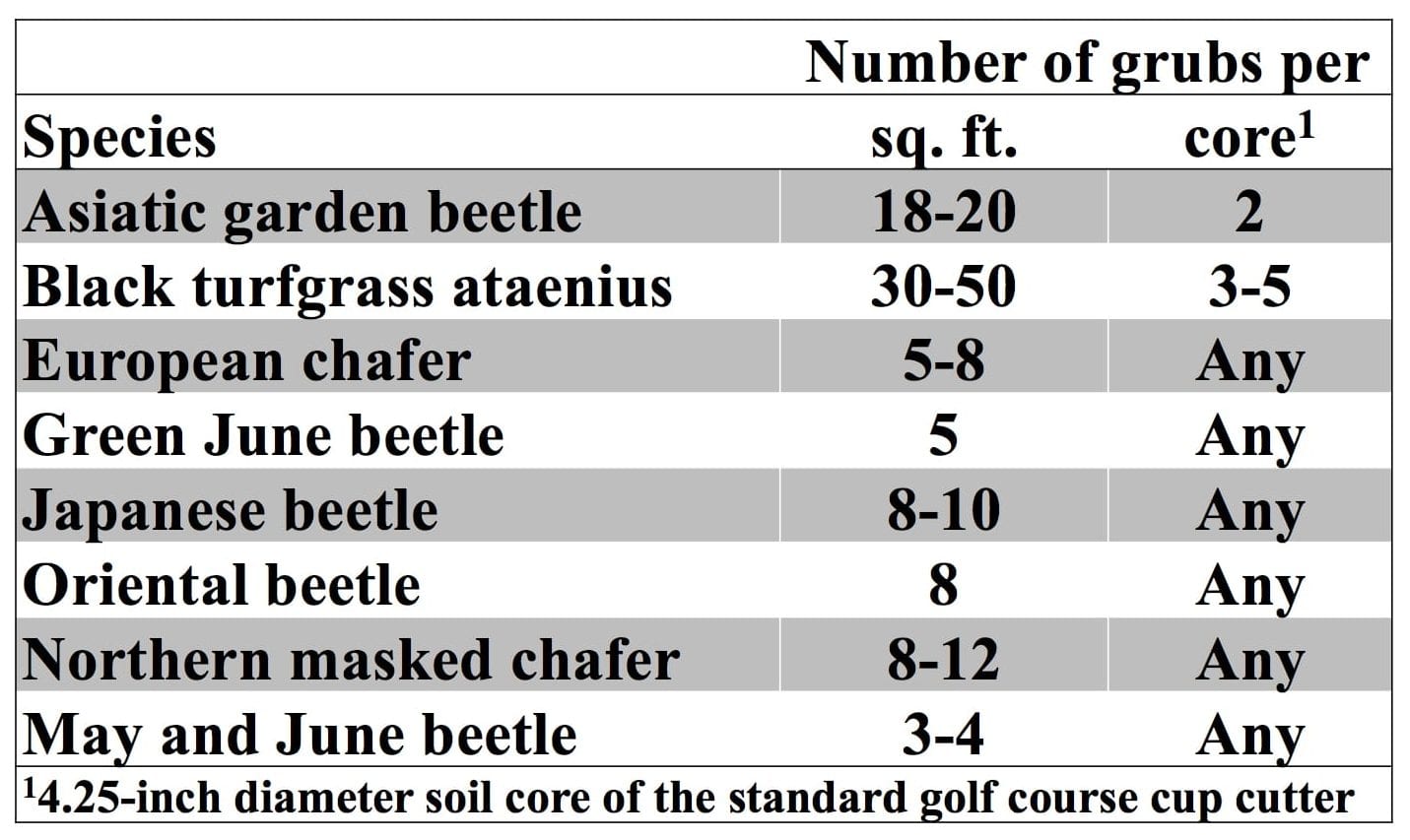 Number of grubs of each species before a treatment is justified
