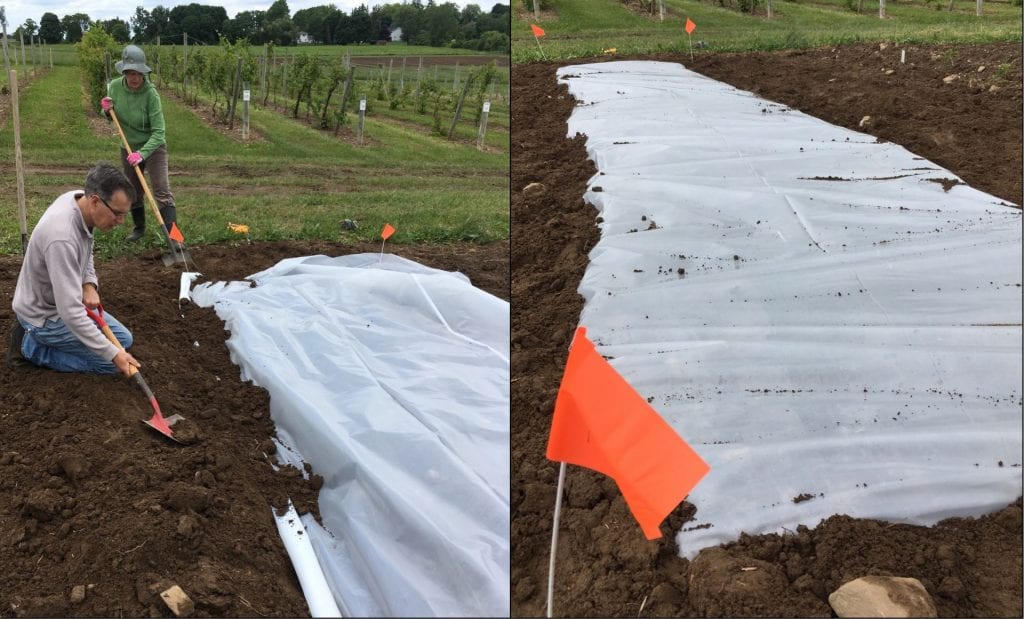 Two people shovelling soil on top of clear plastic laid on the ground on the left, and on the right, clear plastic cover a small area of soil, with all the edges of the plastic buried