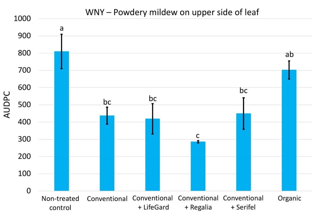 The conventional powdery mildew spray program alone, or when combined with LifeGard, Regalia, or Serifel significantly reduced disease compared to no treatment for cucurbit powdery mildew. Adding any of the biofungicides to the conventional spray program did not improve control compared to using only the conventional sprays. The organic (OMRI-listed products) treatment was not significantly different from either no sprays at all, or the conventional spray program.