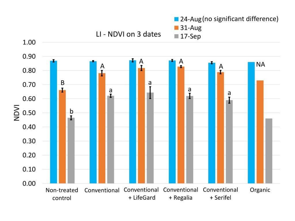 On the last two rating dates of the season (August 31 and September 17), NDVI values were significantly higher in the conventional powdery mildew spray program treatment and all three of the conventional + biofungicide treatments, compared to the plots that were not treated for powdery mildew. Adding the biofungicides did not significantly improve NDVI, compared to using only conventional products.