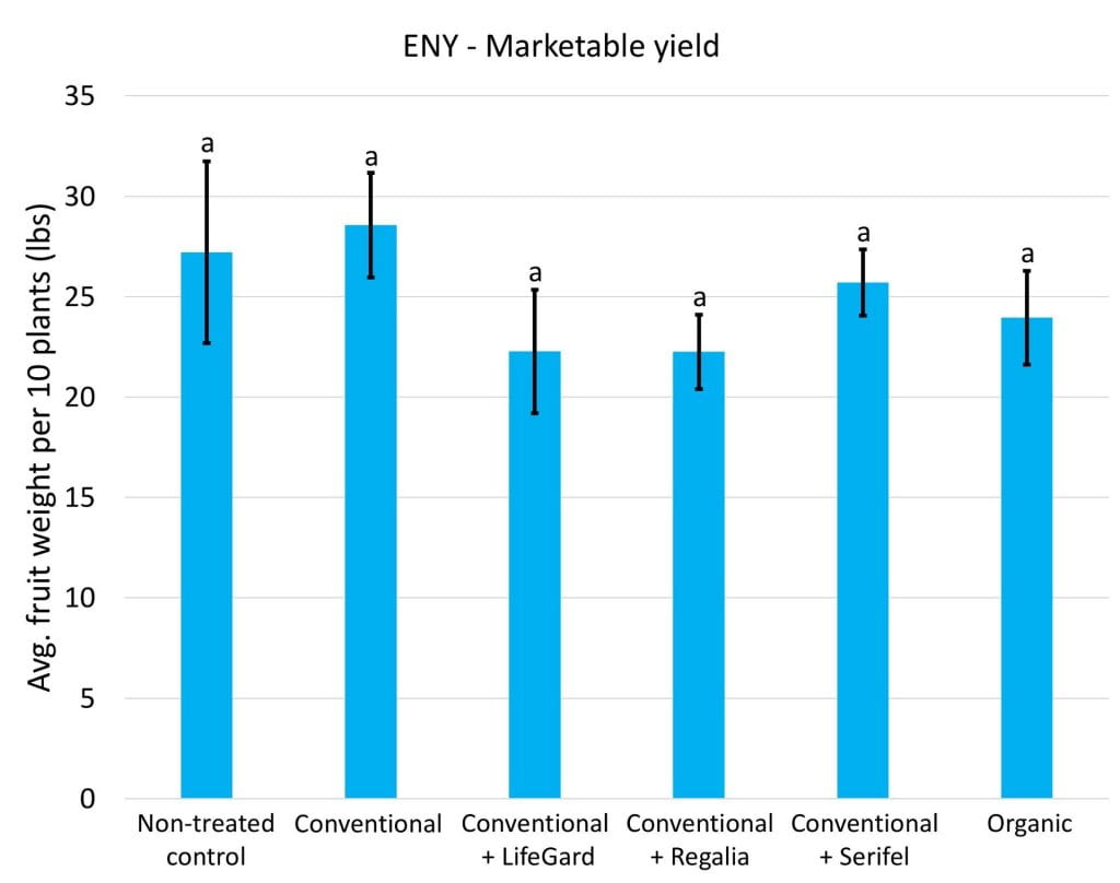 We didn’t measure statistically significant differences in marketable yield among any of the treatments at any of the sites. Data for eastern NY are shown in this graph.