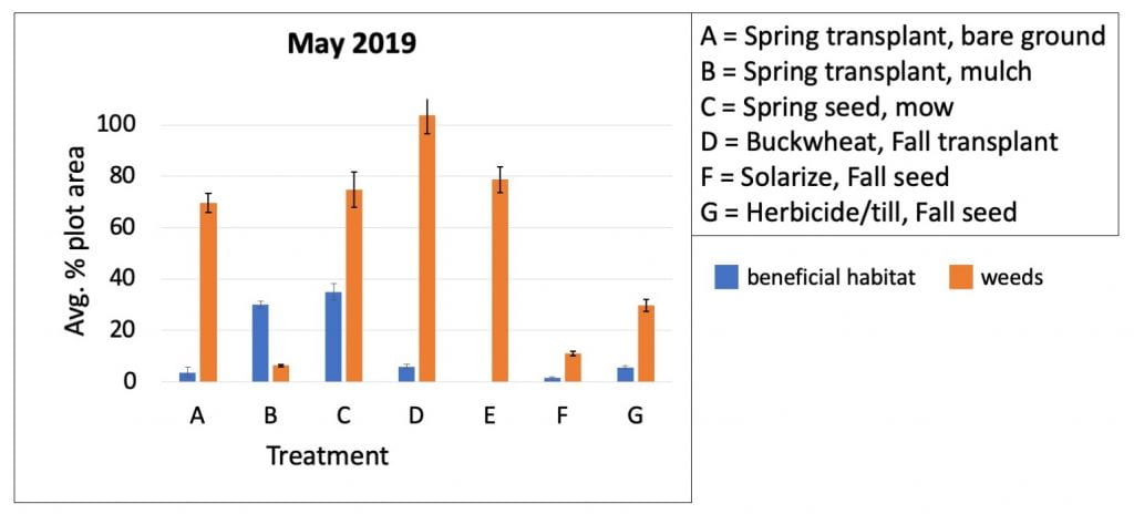 Bar graph shows the average percent of plots covered with either weed or beneficial habitat plants in May 2019. Weed control in the treatment (B) where transplants were mulched had the best weed control. The worst weed control was in treatment D, where seedlings were planted in Fall 2018 after a buckwheat cover crop.