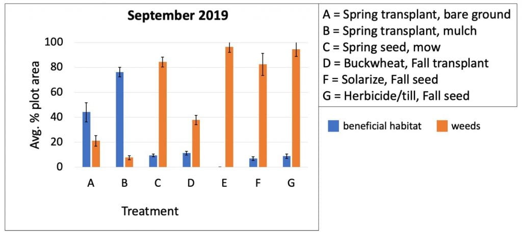 Bar graph shows the average percent of plots covered with either weed or beneficial habitat plants in September 2019. Weed control in the treatment (B) where transplants were mulched still had the best weed control. The worst weed control (besides the control plot where no beneficial habitat plants were planted) was in the three treatments using spring or fall direct seeding (C = spring direct seeding, F = soil solarization and fall direct seeding, G = herbicide and tillage with fall direct seeding).