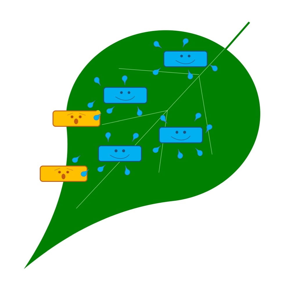 Green leaf with blue rectangles with smiling faces representing microbes as natural enemies of the pest microbes (yellow rectangles with shocked faces). The blue microbes are producing blue droplets (representing antimicrobial compounds).