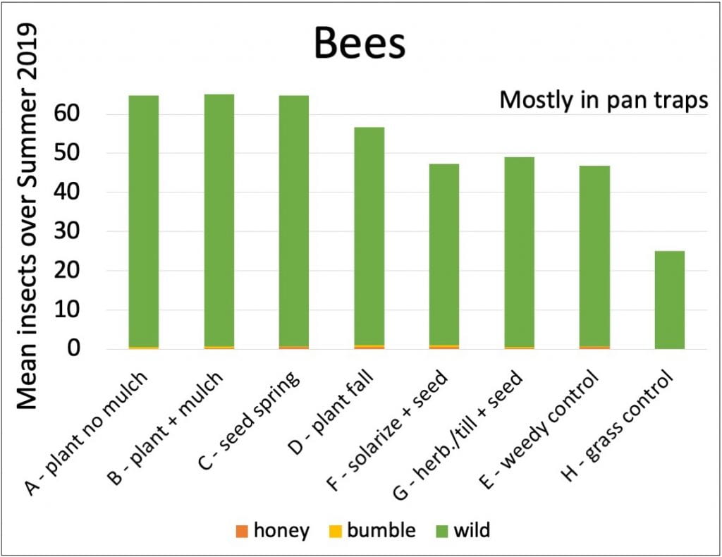 A bar graph showing the average number of bees caught in each treatment (mostly in pan traps) summed over the entire summer. The most bees were caught in spring-planted treatments (A, B, and C) and the least bees were caught in the grass control treatment (H). The bars contain very small orange (for honey bee) and yellow (for bumble bee sections) sections. The vast majority of bees caught were other wild bees (green).