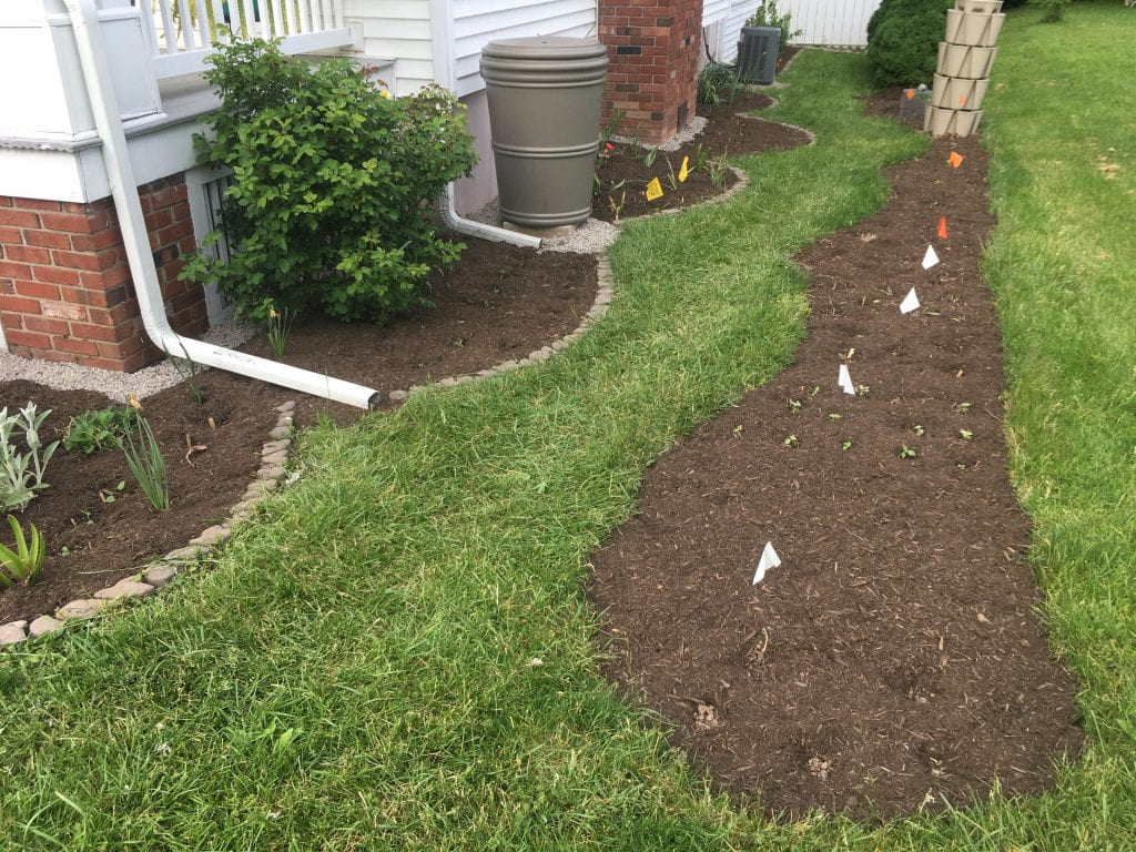Several freshly-mulched garden beds with small seedlings alongside a house