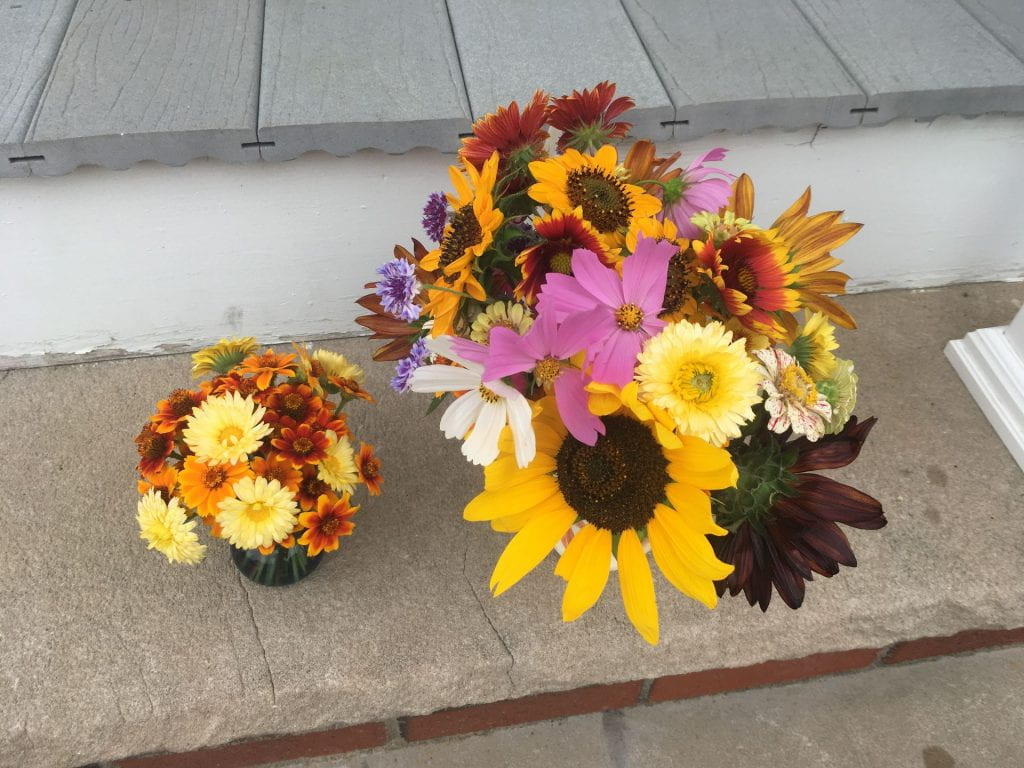 A small vase of yellow, orange and red zinnia and calendula flowers next to a larger vase of mixed flowers (sunflowers, cosmos, blanketflowers, calendula, bachelor’s button, and zinnias) in red, yellow, orange, pink, and purple.
