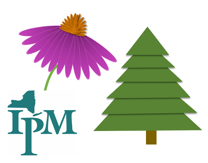 New York State IPM logo next to diagrams of a pink echinacea flower and a green Christmas tree