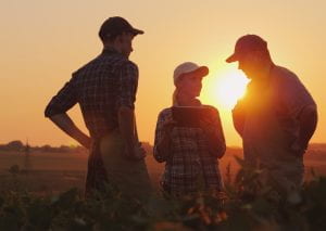 Three farmers standing in silhouette against the sunset.
