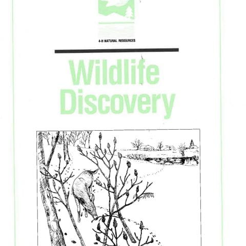 Wildlife Discovery: Activity Packet cover