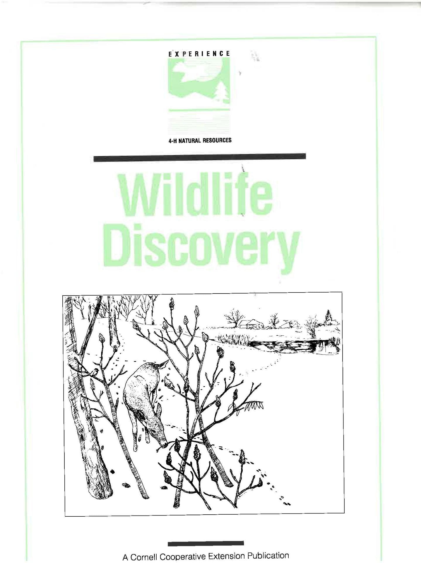 Wildlife Discovery: Activity Packet cover