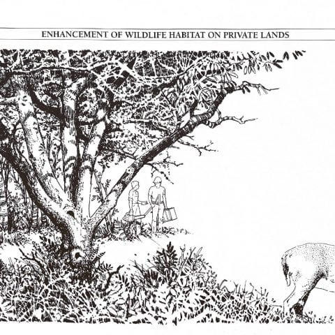Enhancement of Wildlife Habitat cover page