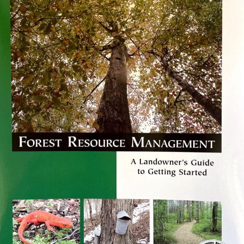 Forest Resource Management cover photo