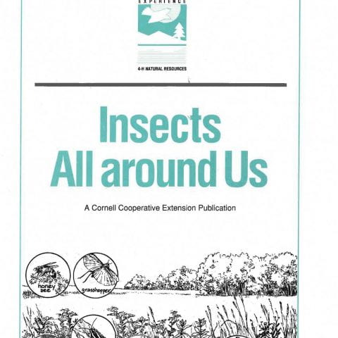 Insects All Around Us cover