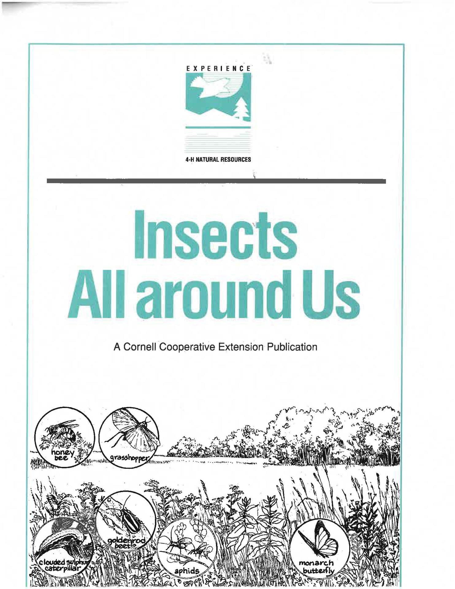 Insects All Around Us cover