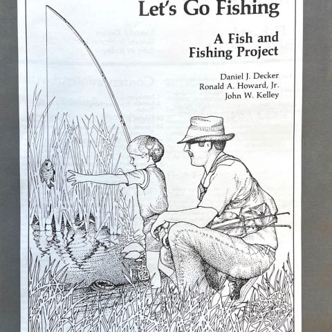 Lets Go Fishing cover