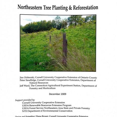 Northeastern Tree Planting and Reforestation cover