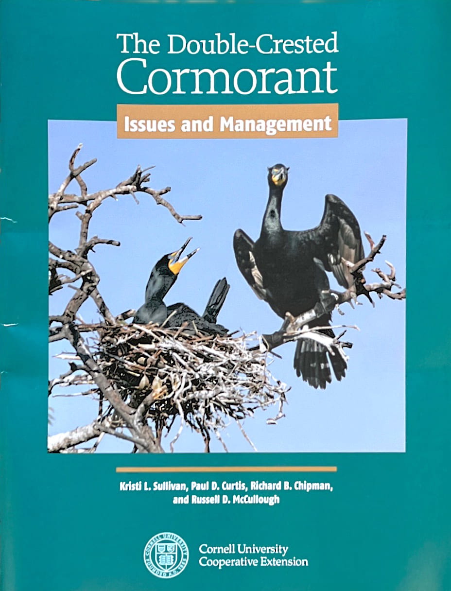 The Double-Crested Cormorant cover