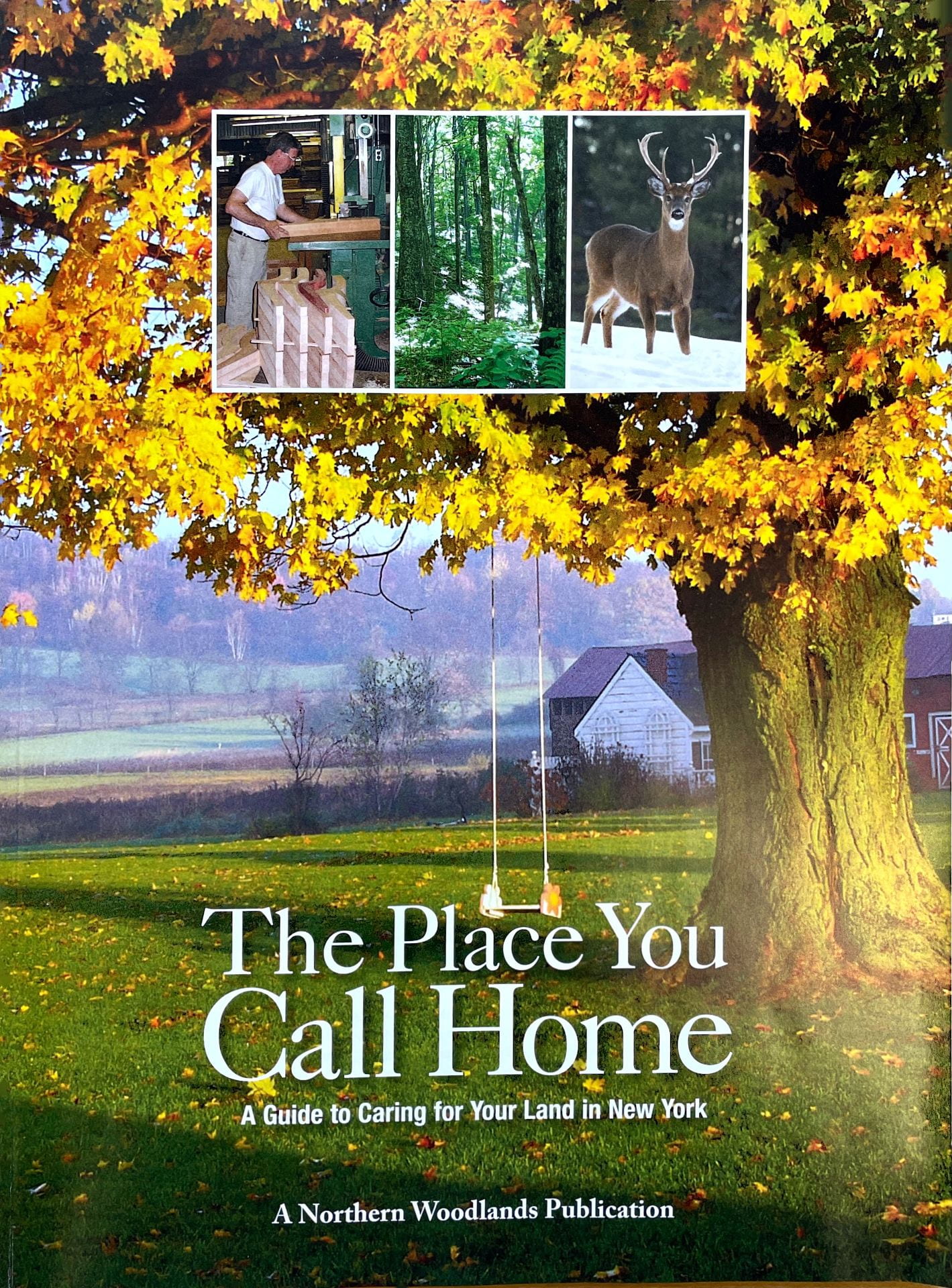 The Place You Call Home cover