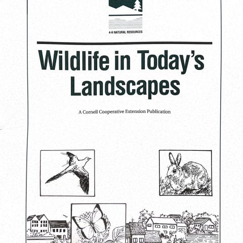 Wildlife in Today’s Landscapes cover