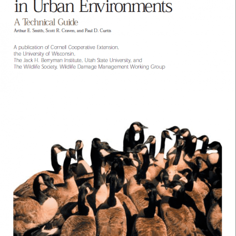 Managing Canada Geese in Urban Environment cover