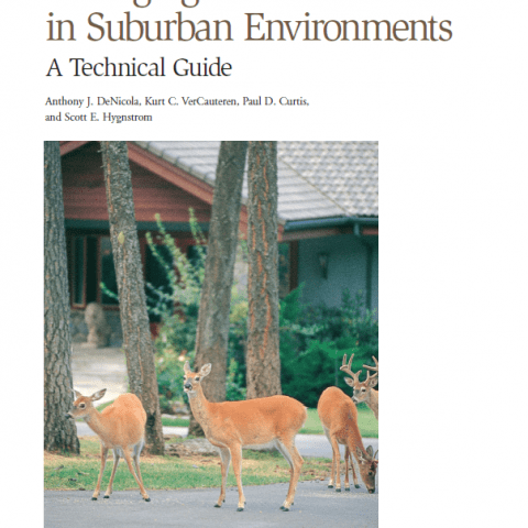 Managing White-Tailed Deer in Suburban Environments cover