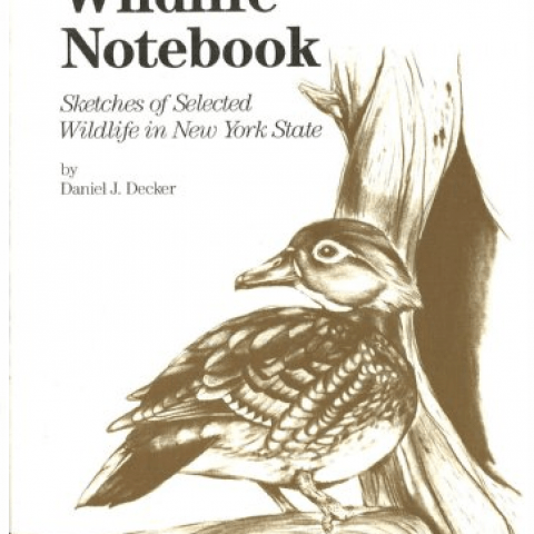 Wildlife notebook cover