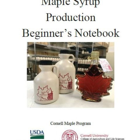 Maple Beginners cover page