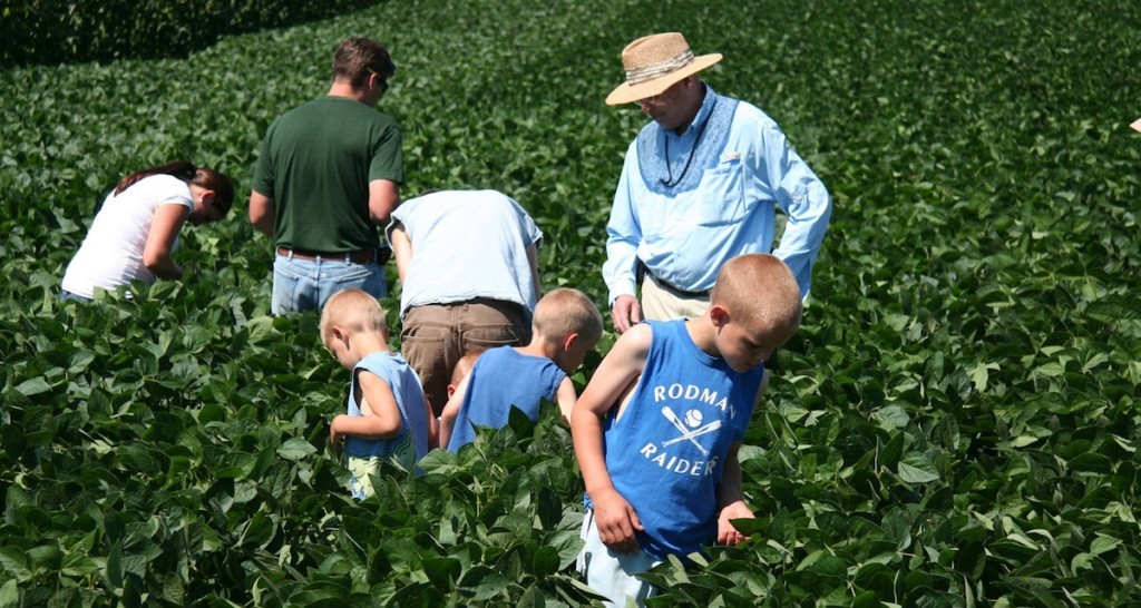Field day participants scout a Northern New York soybean field for pests with J. Keith Waldron of the New York State Integrated Pest Management Program at Cornell University. Photo: Northern New York Agricultural Development Program/Kara Lynn Dunn