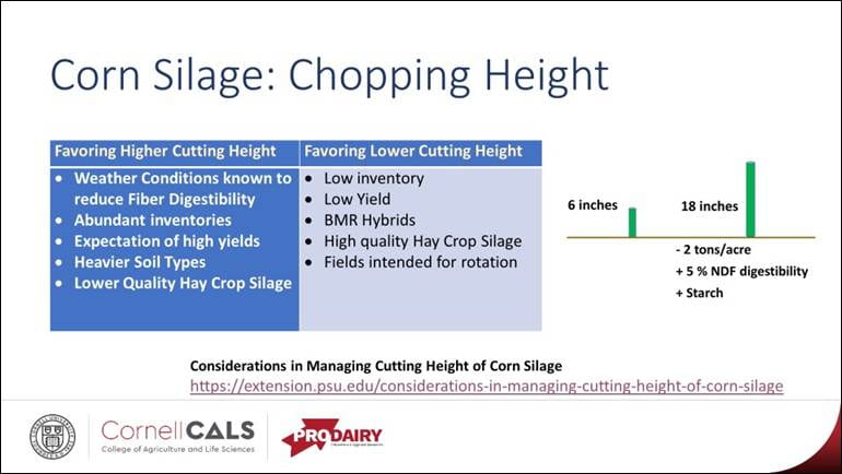 table of corn silage conditions favoring higher and lower cutting heights